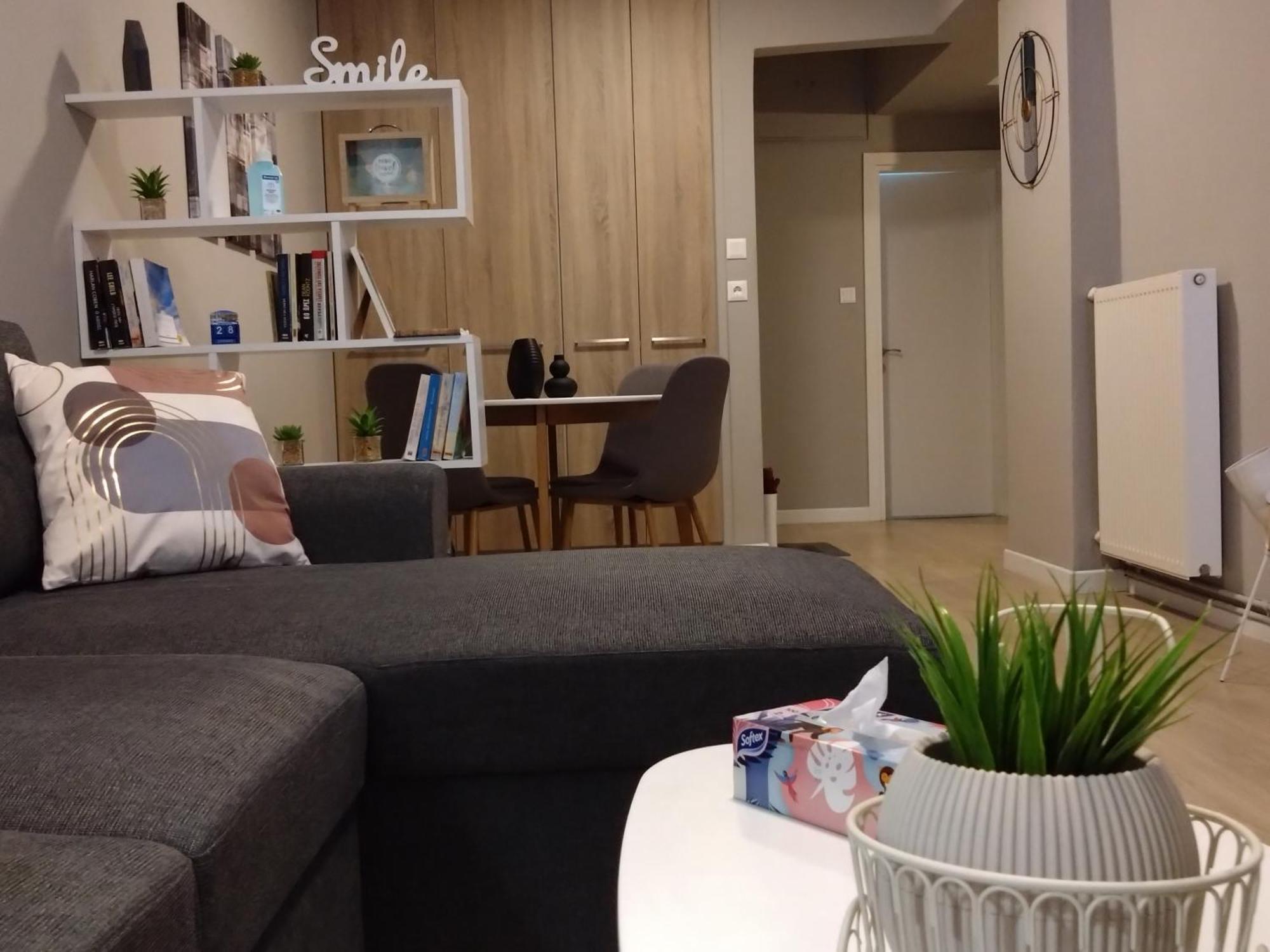 Axd Downtown Spacious Lux Apartment Alexandroúpolis Ngoại thất bức ảnh